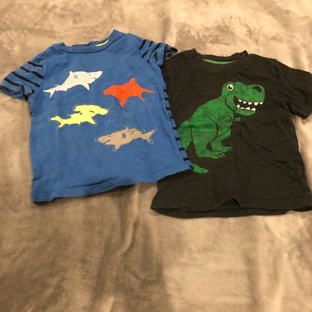 2 Boys T-shirts